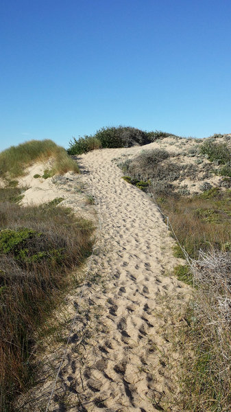 Heading up the dunes on the Franklin Point Trail.
