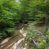 Pott's Branch in William B. Umstead State Park.