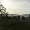 View of Folsom Lake from The Snake Pit.