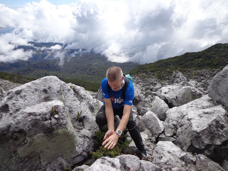 A Norwegian mountain runner enjoying the wild berries at the boulders of Mt. Apo.