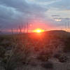 A high desert sunset along the ocotillo fields of Little Moab.