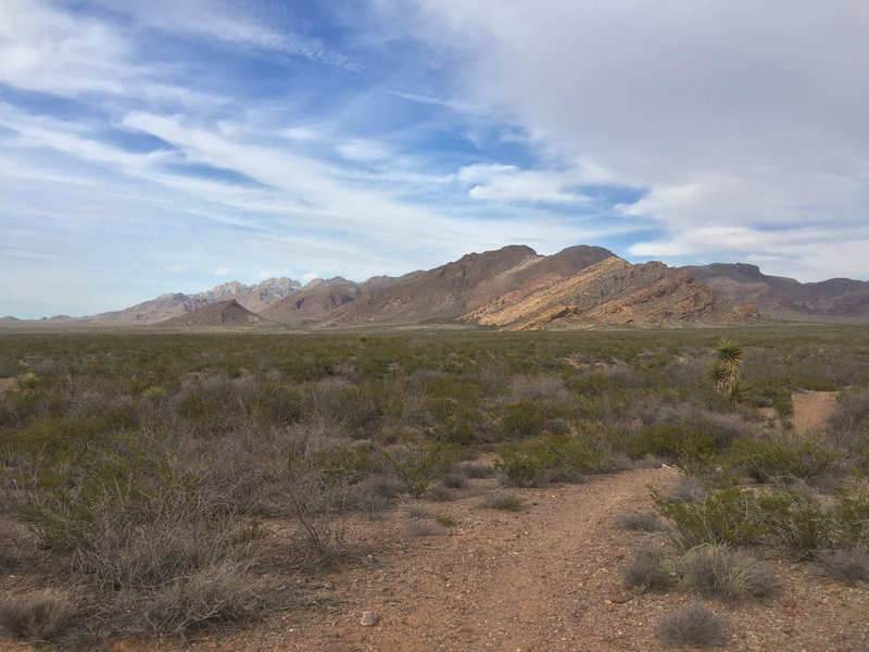 A section of the Organ Mountains along the Sierra Vista Trail. Pena Blanca, a great but little-visited bouldering area, is the yellow-ish formation on the right.