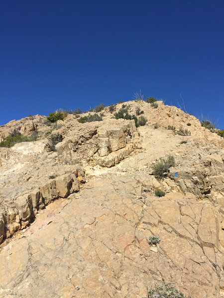 Notice the blue dot just right of the path? That's what you'll be looking for along Ron Coleman Trail.