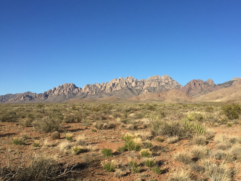 The view of the Organs from La Maria Trail and Sierra Vista Trail is outstanding.