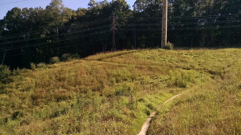 Seneca Ridge Trail powerline cut.