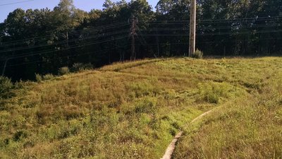 Seneca Ridge Trail powerline cut.