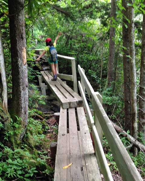 Hiking Segment 2 of the Mountains-to-Sea Trail. Photo by Danny Bernstein.