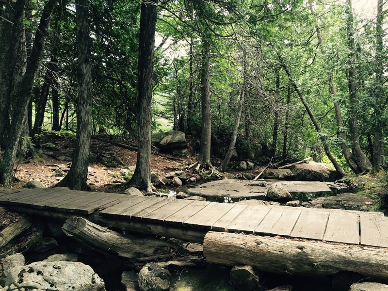 Acadia Mountain Trail.