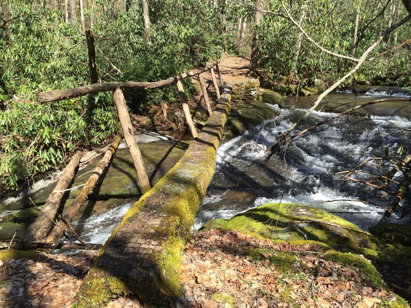 The first of six stream crossings near the beginning of the Twentymile Trail.