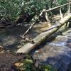 One of six stream crossings near the beginning of the Twentymile Trail. Two of these small bridges are in a slight state of disrepair.