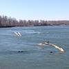 Snags (downed cottonwood trees) in the Missouri River. These were a major problem during the era of steamboat travel.