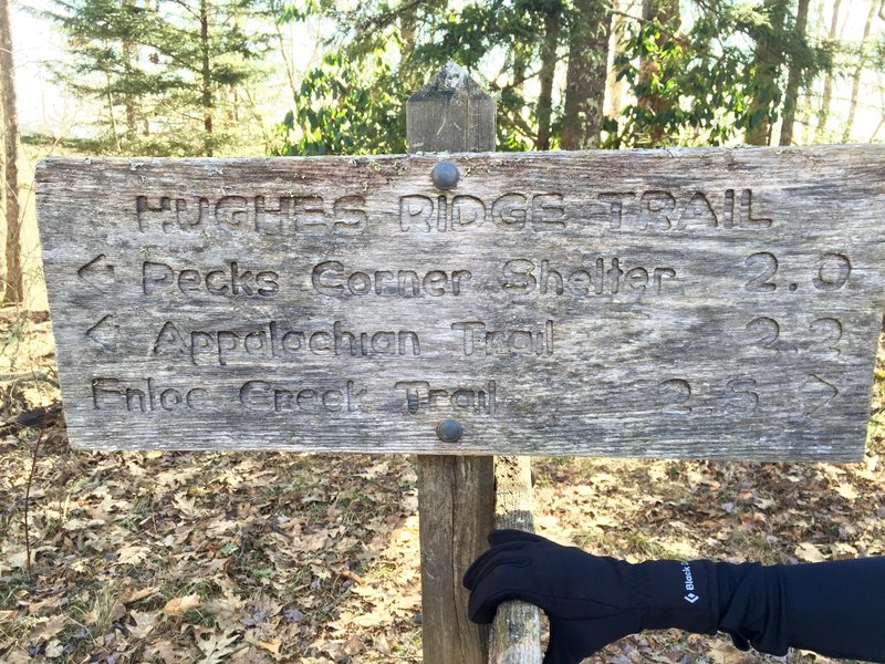 Trail sign at the intersection of the Bradley Fork Trail.