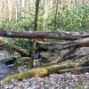 Creek at Backcountry Site #48.