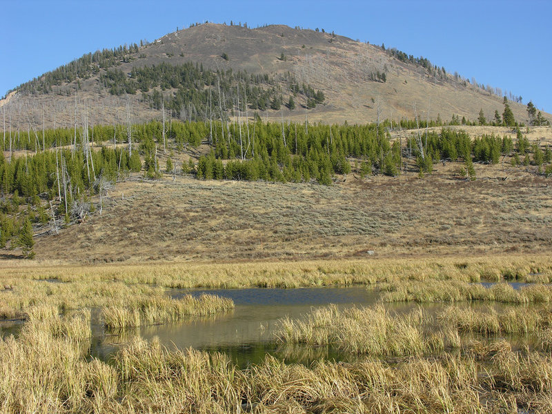 Beaver pond area beneath Bunsen Peak. with permission from Ralph Maughan