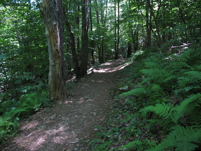 Jones Run Trail.