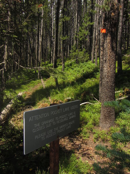 The Pocket Lake Trailhead.