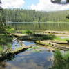 The outlet to lovely Pocket Lake.