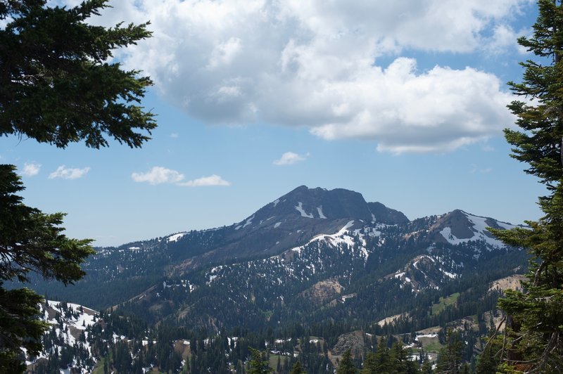 Even the views through the trees are spectacular.