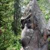 Turtle Rock - the site of the 1908 stagecoach holdup, the largest in history. The bandit, who was never caught, robbed 17 stagecoaches, one after the other, taking more than $2,000 from 174 Yellowstone tourists.