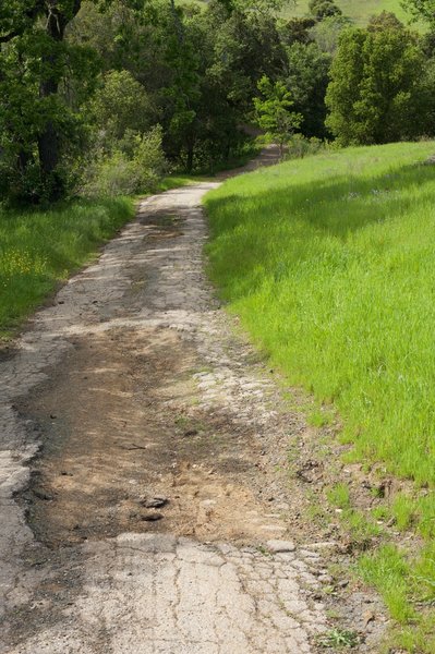 As the trail descends to the lake, the surface returns to an old road that is deteriorating.