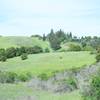 The trail climbs to the hills in the area. Views of the homes in the Palo Alto Hills can be seen from the trail.