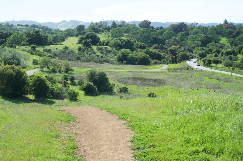 A view from the top of Bonus Hill Trail.