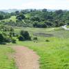 A view from the top of Bonus Hill Trail.