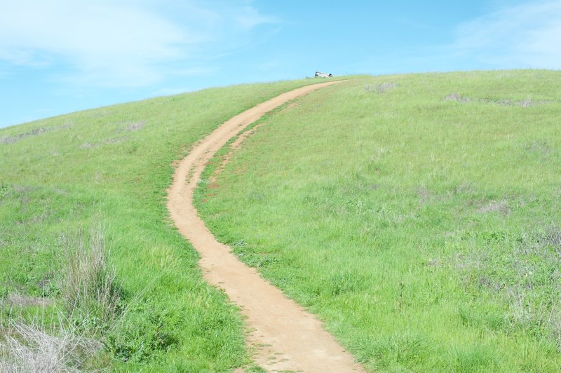 The dirt trail on the back side of Bonus Hill Trail, a favorite for mountain bikers to descend.