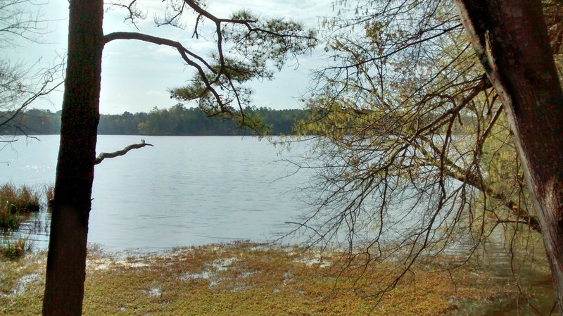 View of Harris Lake.