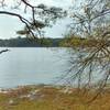 View of Harris Lake.