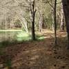 The trail follows the perimeter of the pond.