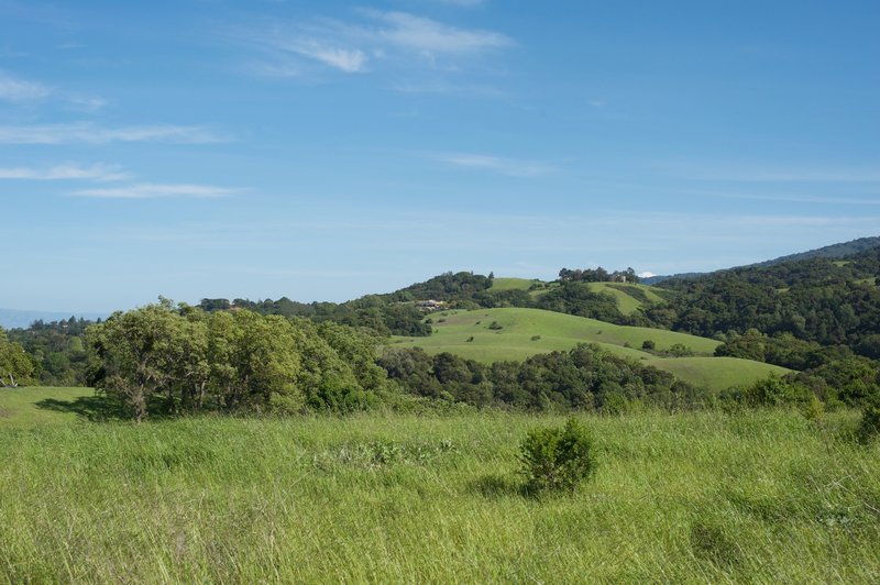 Looking off toward the Palo Alto Hills.