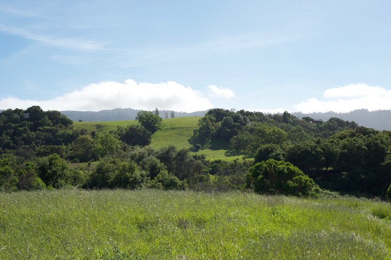 Looking back toward the Foothills Open Space Preserve.