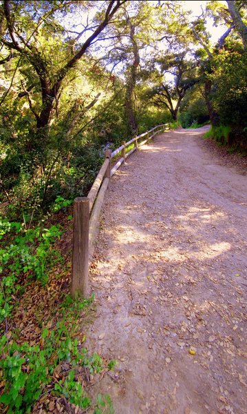 Wood Canyon Trail.