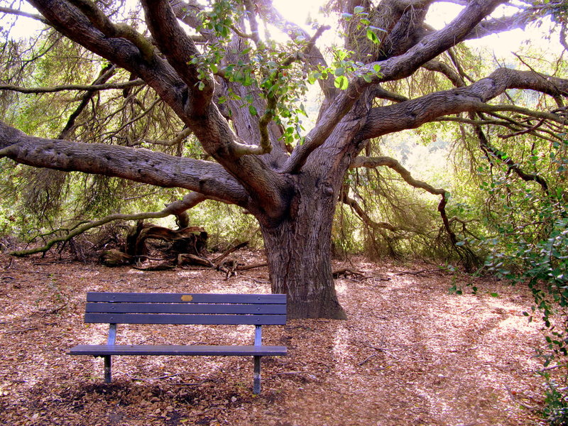 Cool rest stop.