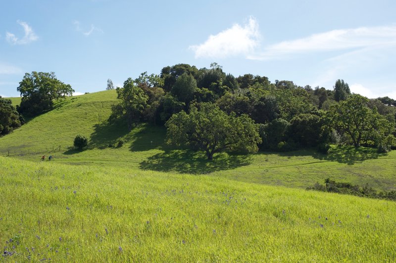 Bowl Loop hugs the hill on the far side of the ravine. Two mountain bikers can be seen enjoying the rolling nature of the trail.