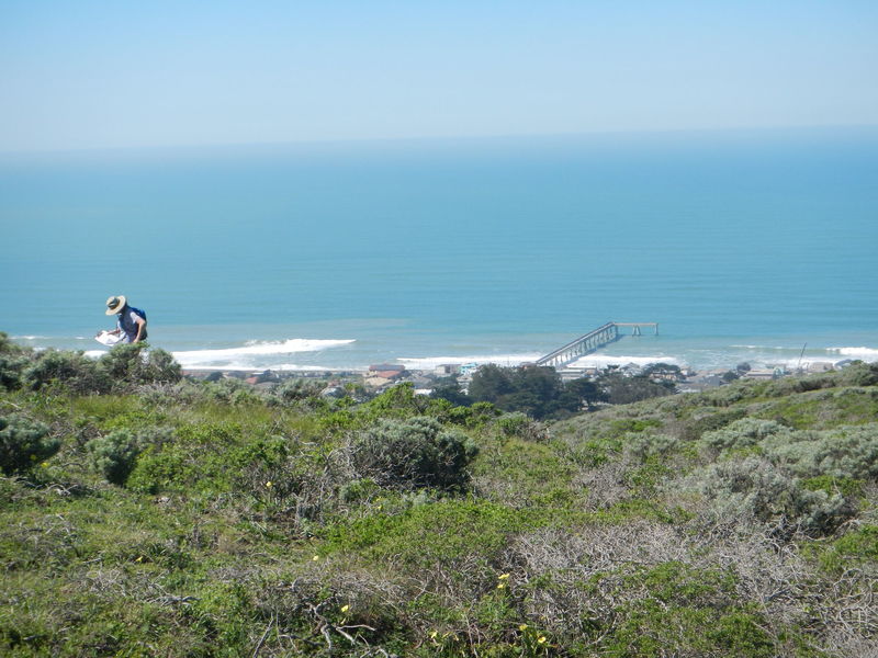 Ranger doing field work.