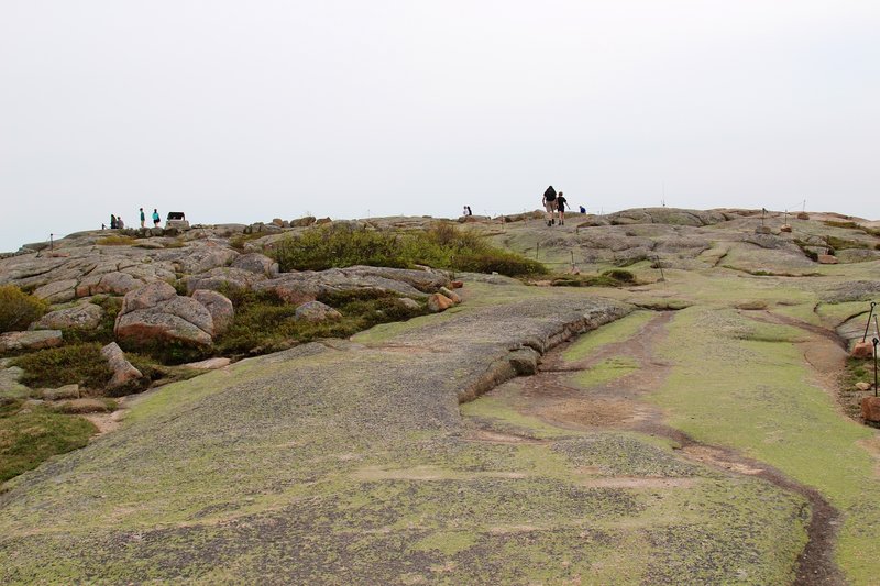 Protect the mountain landscapes as you make your way to the top of Cadillac Mountain.