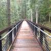 I love bridges! This one is a great one, you can also have a picnic underneath near the water if you want!