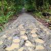 Get ready for a muddy shoe adventure. If you are in Seattle you need to get used to venturing out on the trails in the rain!