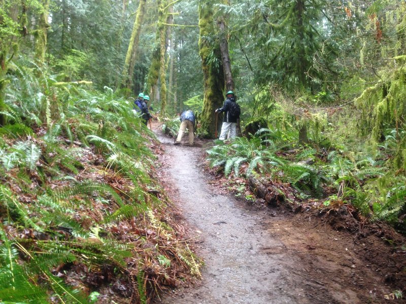 Here we are hard at work maintaining the trail! GO WTA!