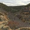 After cruising along the green shady creekbed, you take this mellow climb back up the the dry Mesa top.