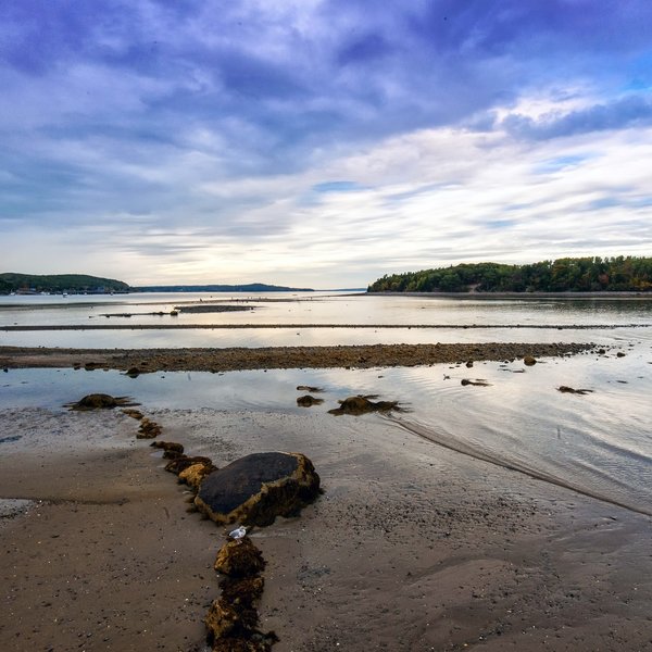 Bar Island view at low tide. with permission from E Koh