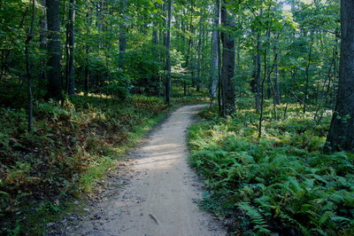 Reston South Walking Routes - Google My Maps