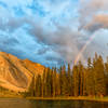Chamberlain Lake rainbow.