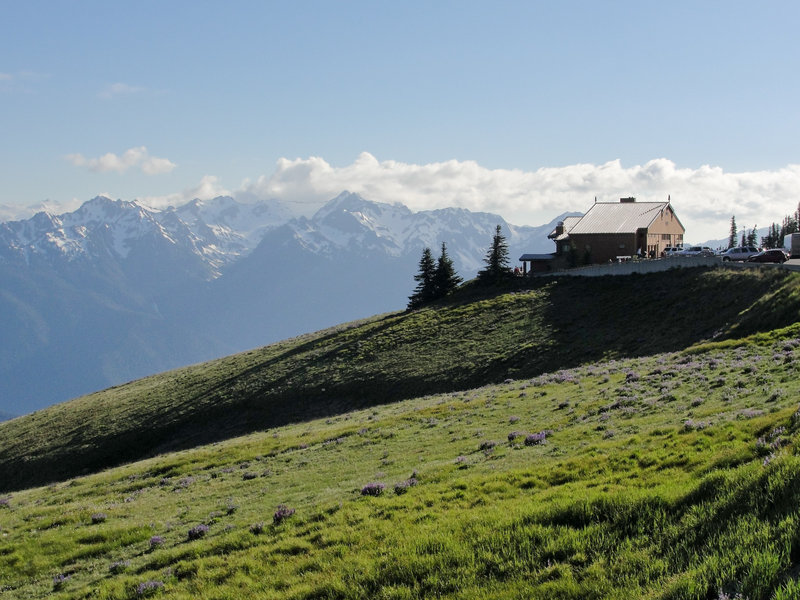 Olympic National Park, Hurricane Ridge Visitor Center.