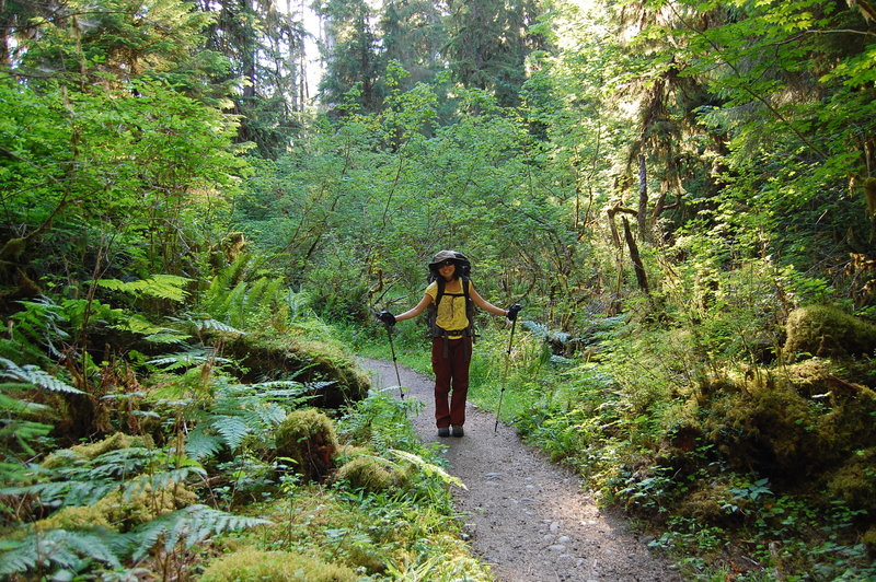 Embarking on a Hoh Rainforest journey.