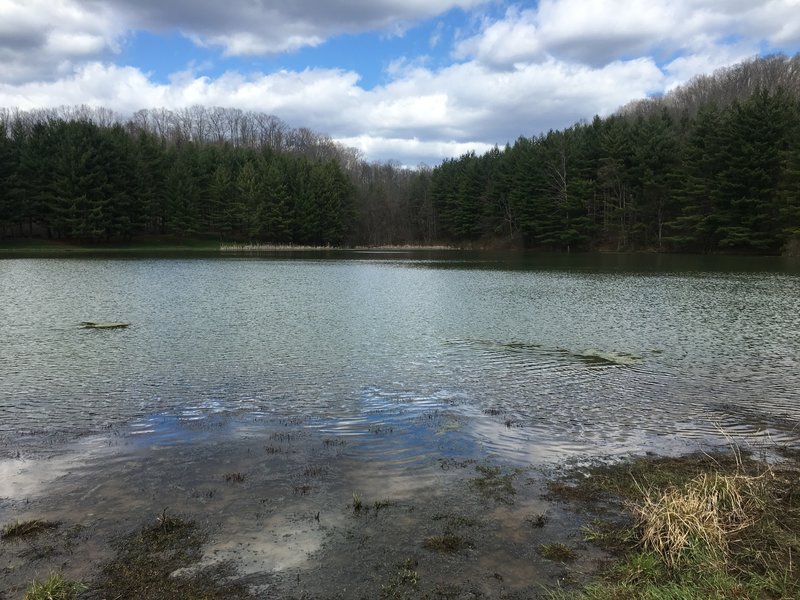 The pond at the start and end of the trails.