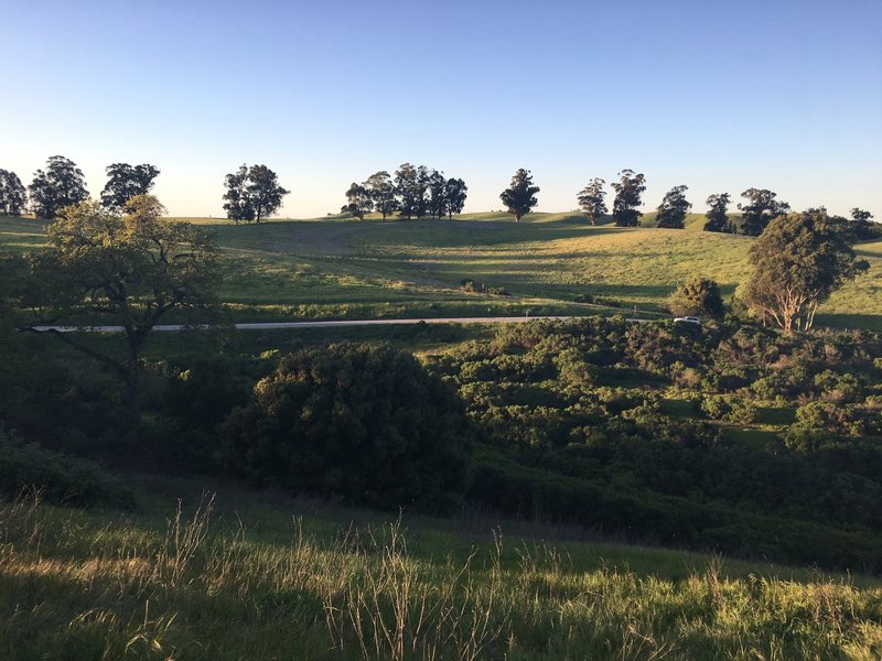 Sunset in the preserve.  The view toward the Redtail Loop Trail and the surrounding hills.