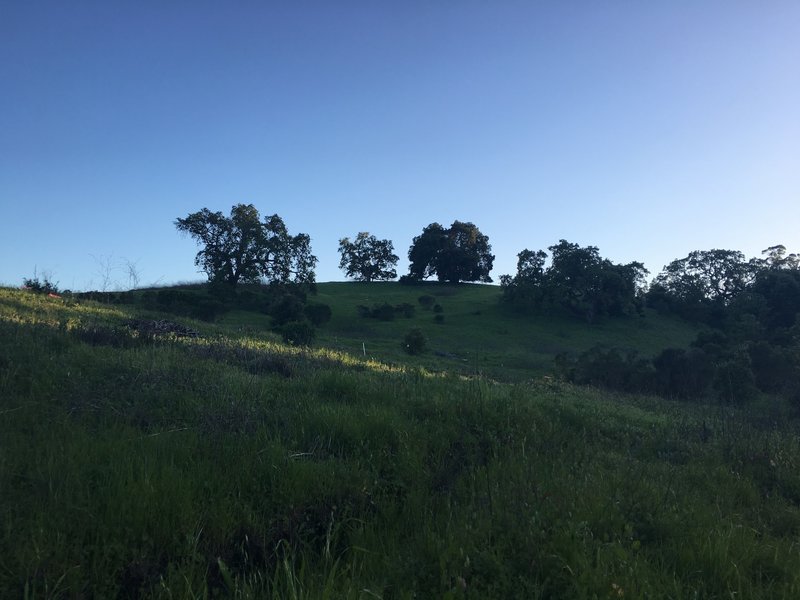 Looking up the the hill during sunset.